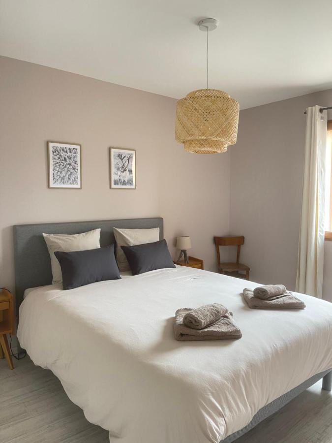 Appartement Au Centre De St Martin De Belleville サン・マルタン・ド・ベルヴィル エクステリア 写真